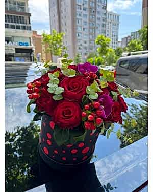 Kutuda 11 İthal Gül