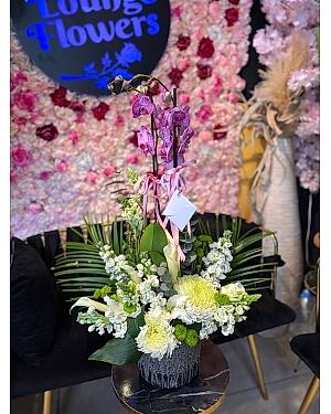 Orkide Aranjmanı