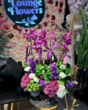 Renkli Orkide Aranjmanı